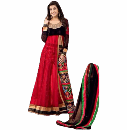 Women's Velvet and Georgette Anarkali Suit